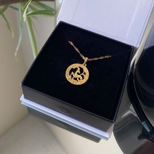 Vibeszn Zodiac Capricorn Necklace